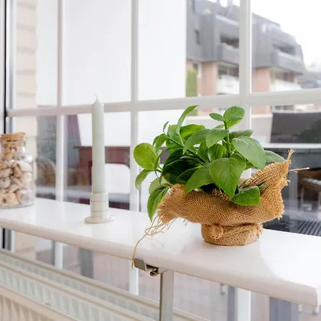 Apartment Koje Wassersleben Mit Balkon & Strandblick By Interhome Appartement Harrislee